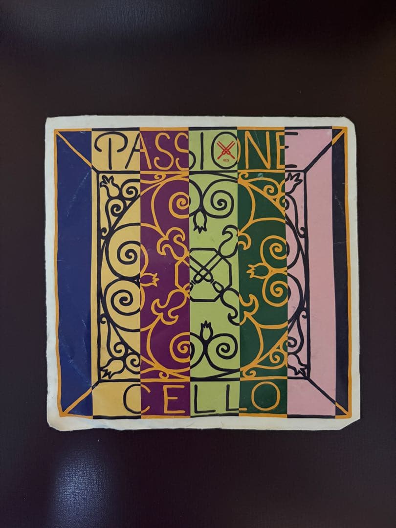 【中古チェロ弦】ピラストロ PASSIONE (G,C線)