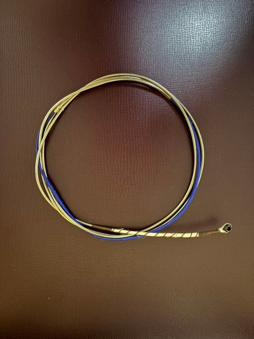 【中古チェロ弦】ピラストロ PASSIONE (G,C線)