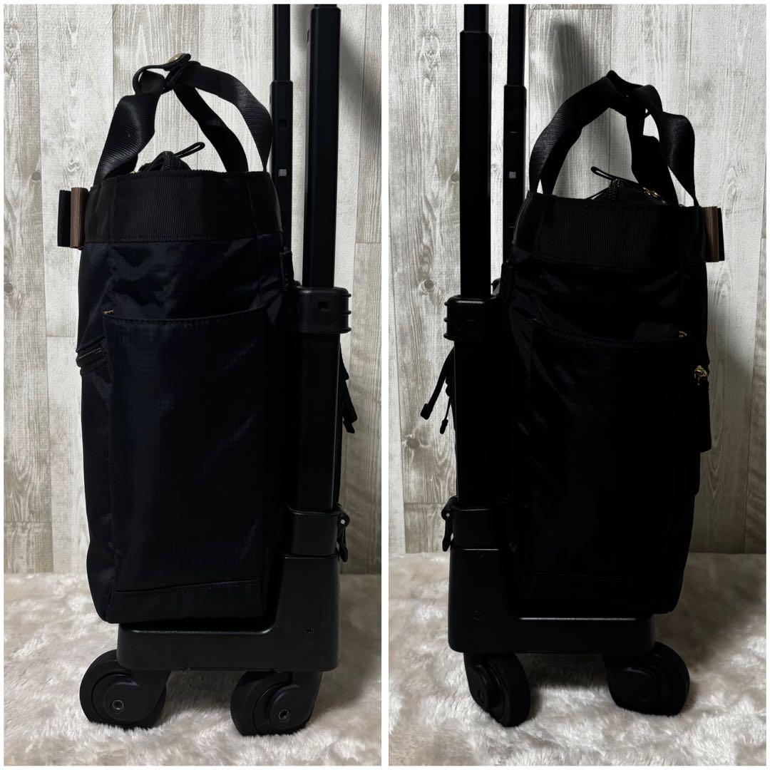 SWANY スワニー　ルバンドミニ　キャリーバッグ　ブラック