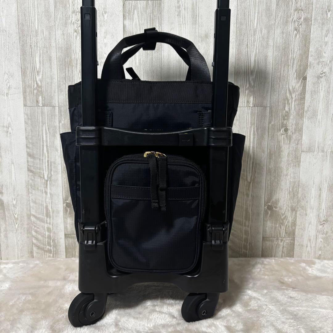 SWANY スワニー　ルバンドミニ　キャリーバッグ　ブラック