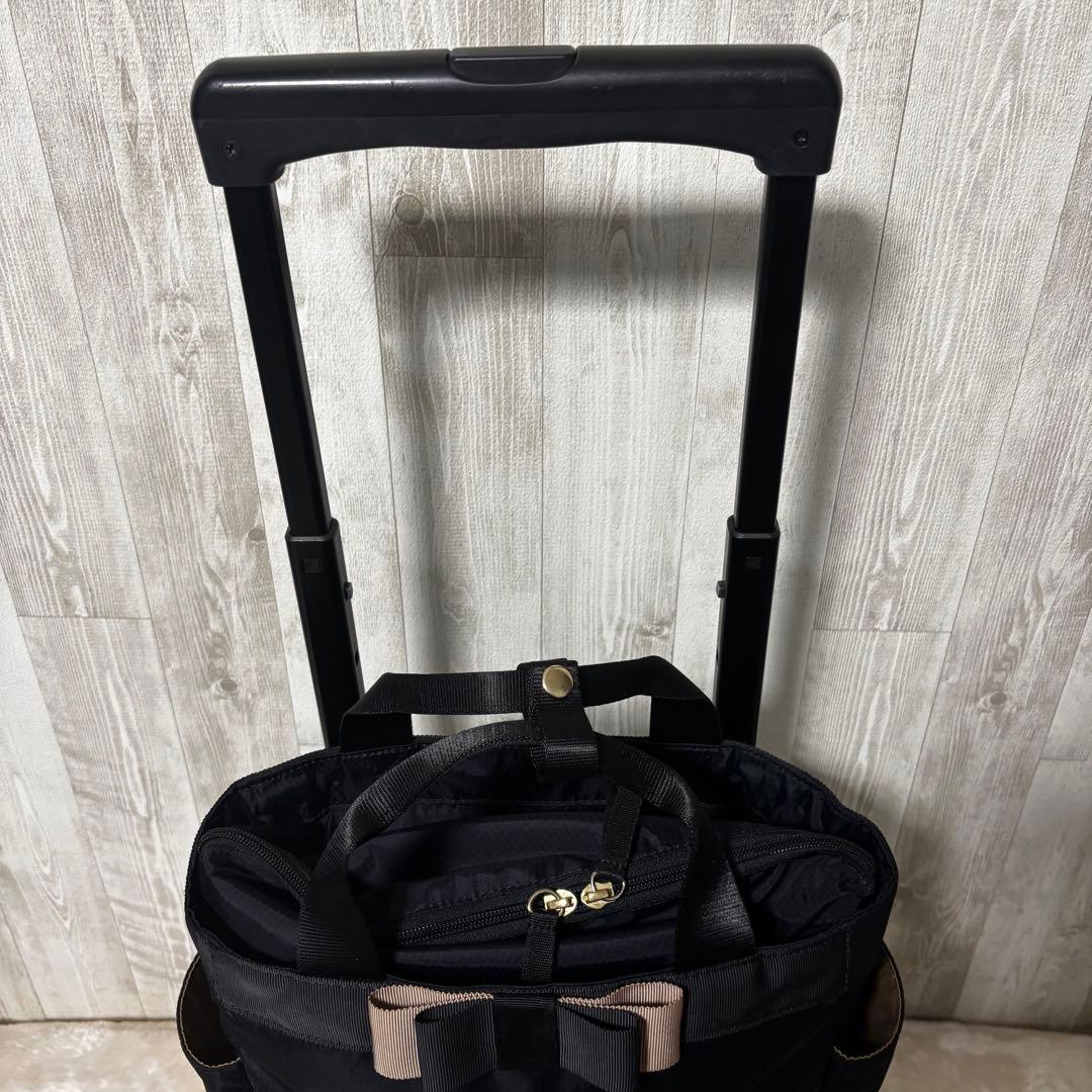 SWANY スワニー　ルバンドミニ　キャリーバッグ　ブラック
