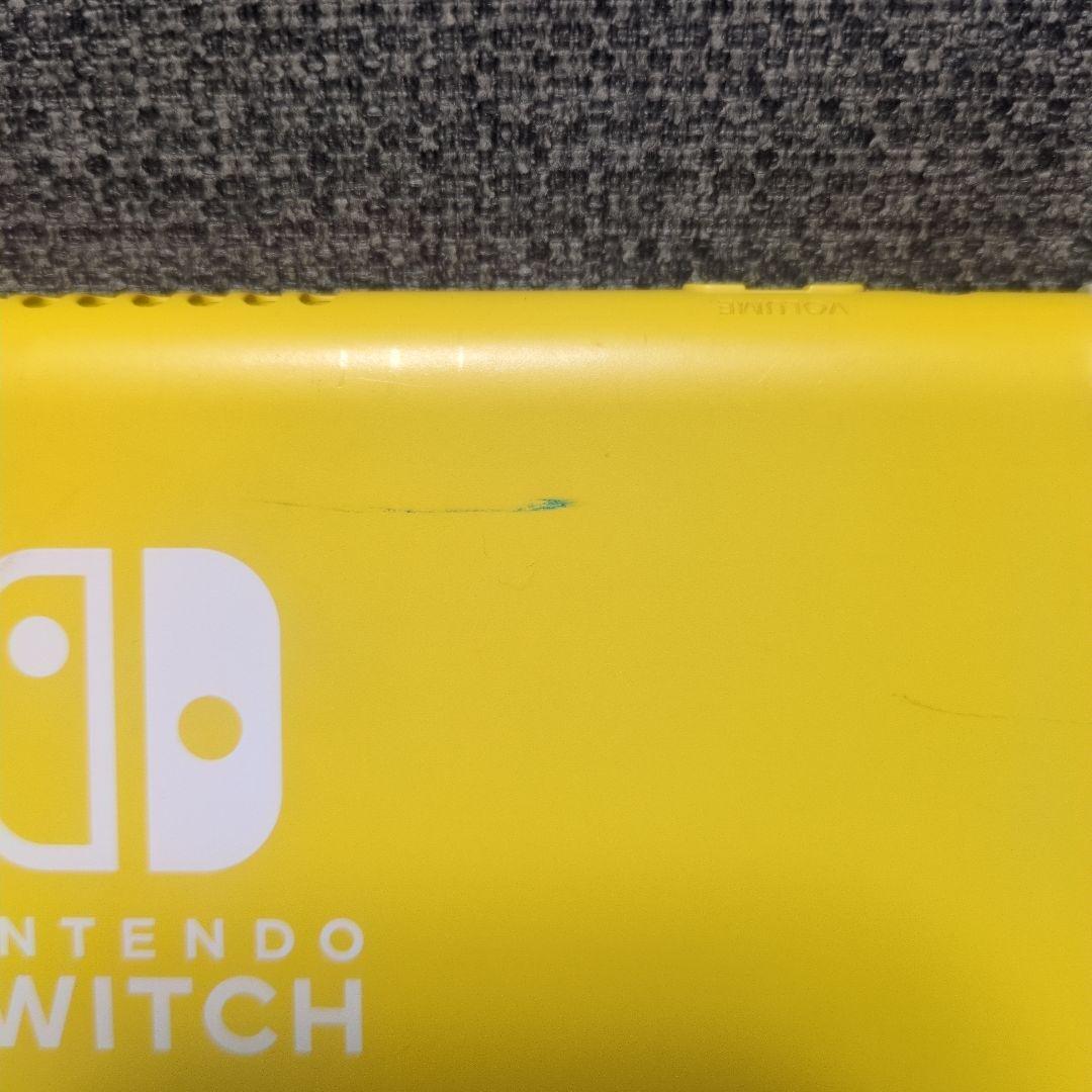 Switchライト本体