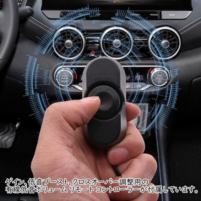 本格派重低音 10インチ 800Wサブウーファー レインボーLED 薄型ウーハー