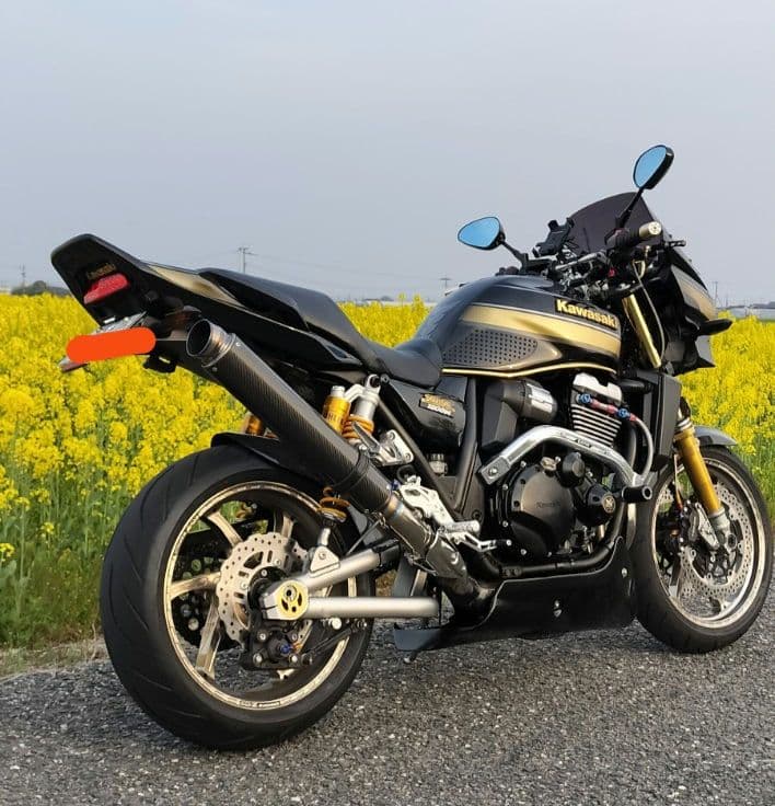 早いもの勝ち！zrx1200ダエグ　VERTIAヴェルティア　ロングテールカウル