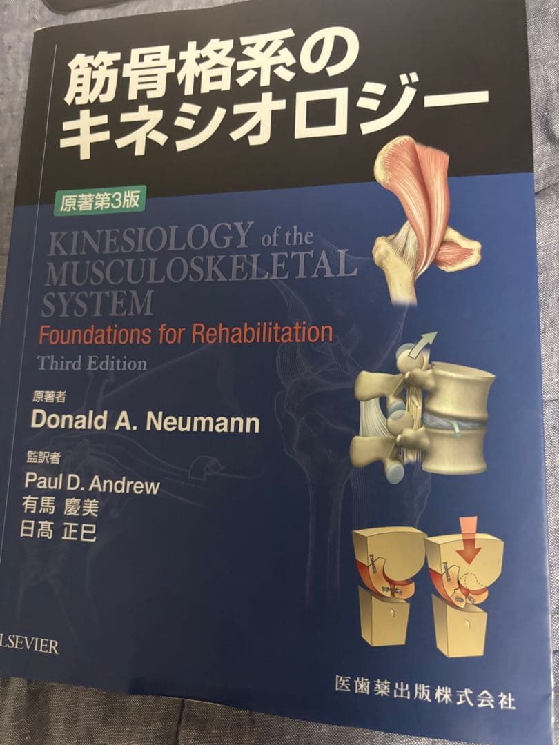 筋骨格系のキネシオロジー　書き込み無し美品