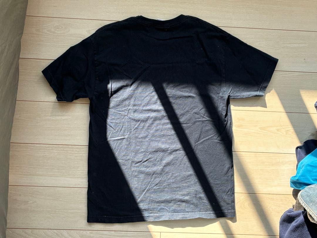 【最終値下げ】トニーホーク vtg tシャツ santa cruz