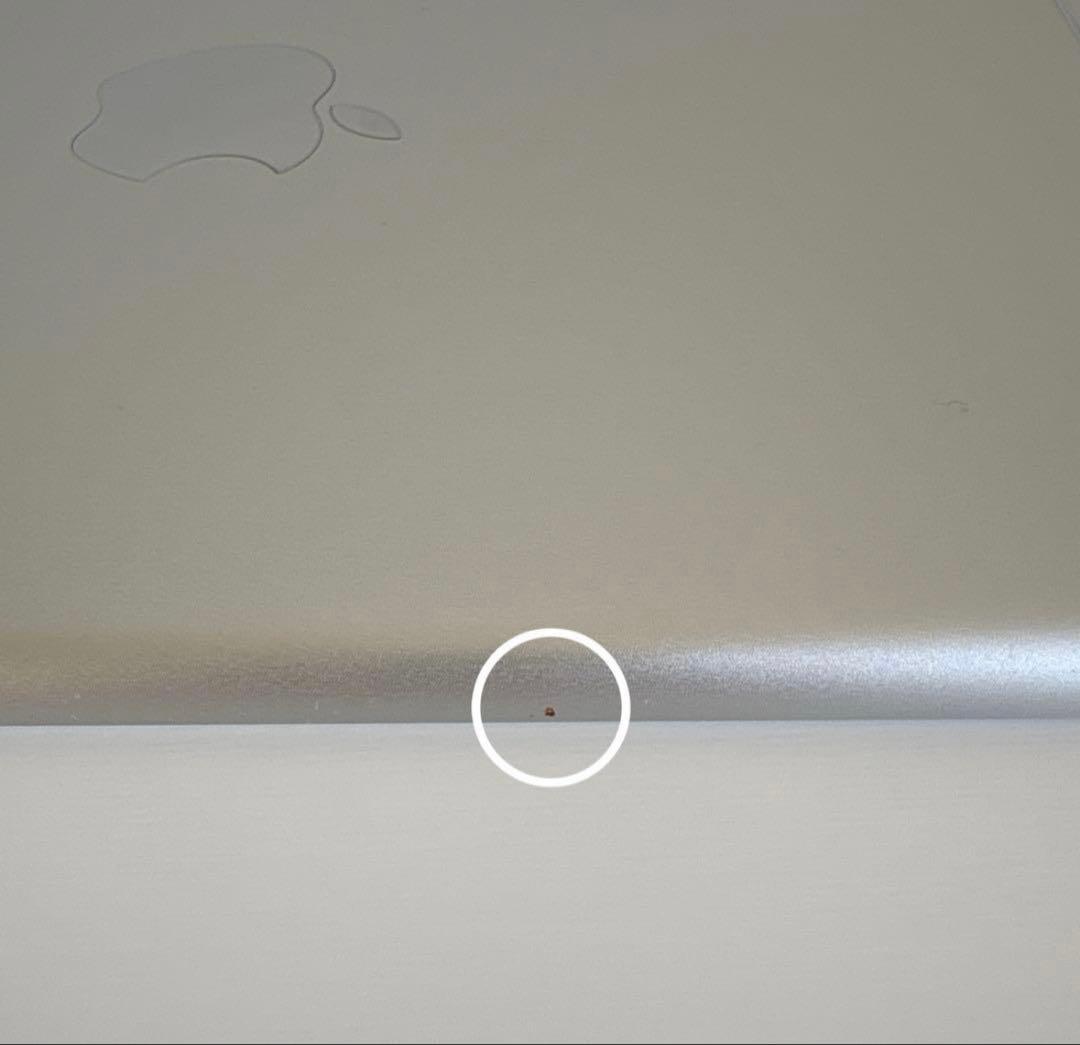 iPad mini5 Wi-Fi+Cellularモデル 64GB SIMフリー