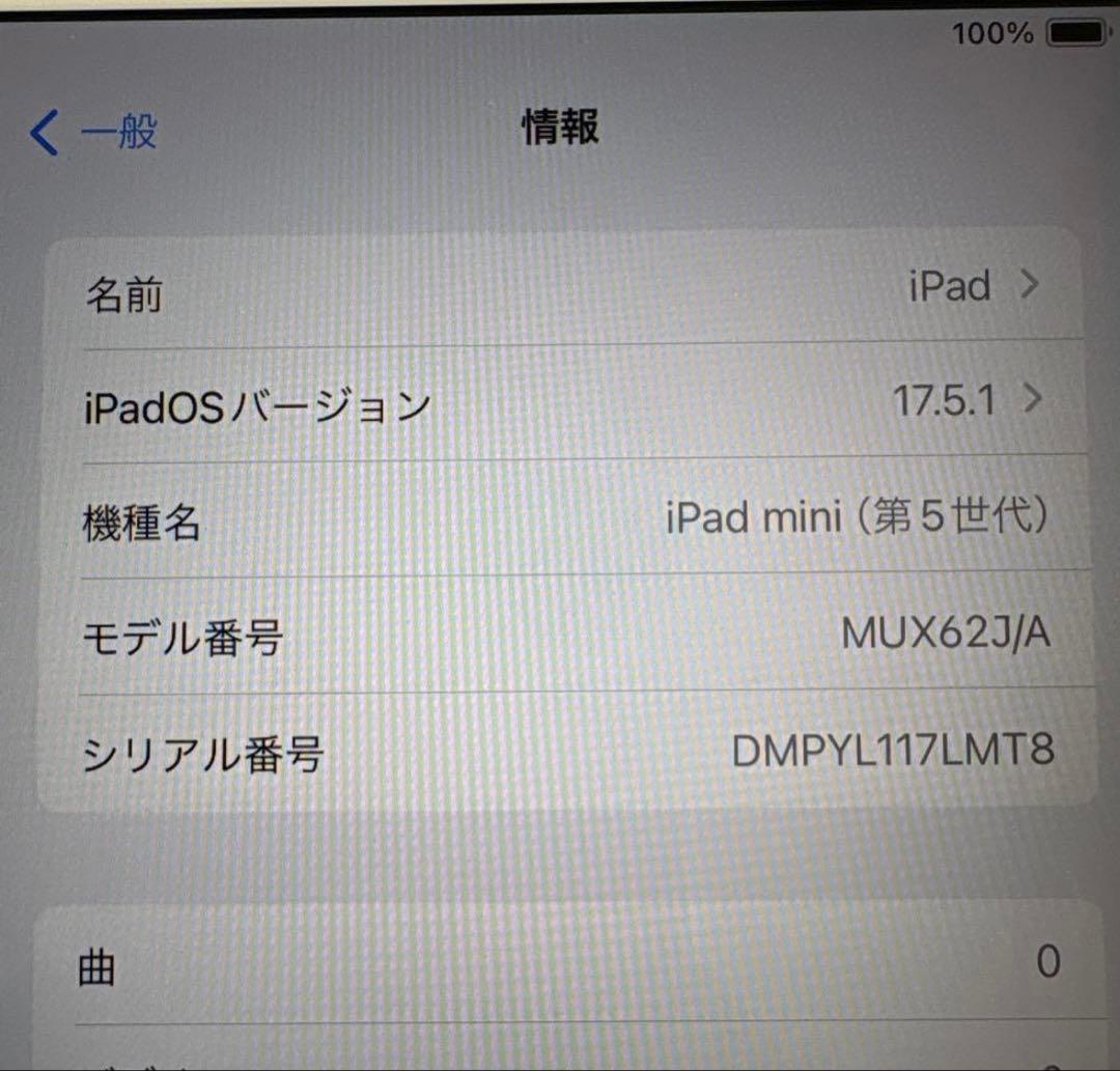iPad mini5 Wi-Fi+Cellularモデル 64GB SIMフリー