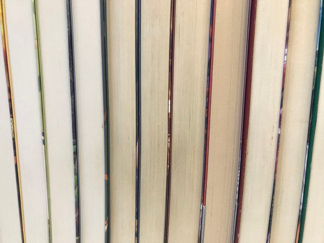 児童書「タラ・ダンカン」 全12巻 全24冊セット