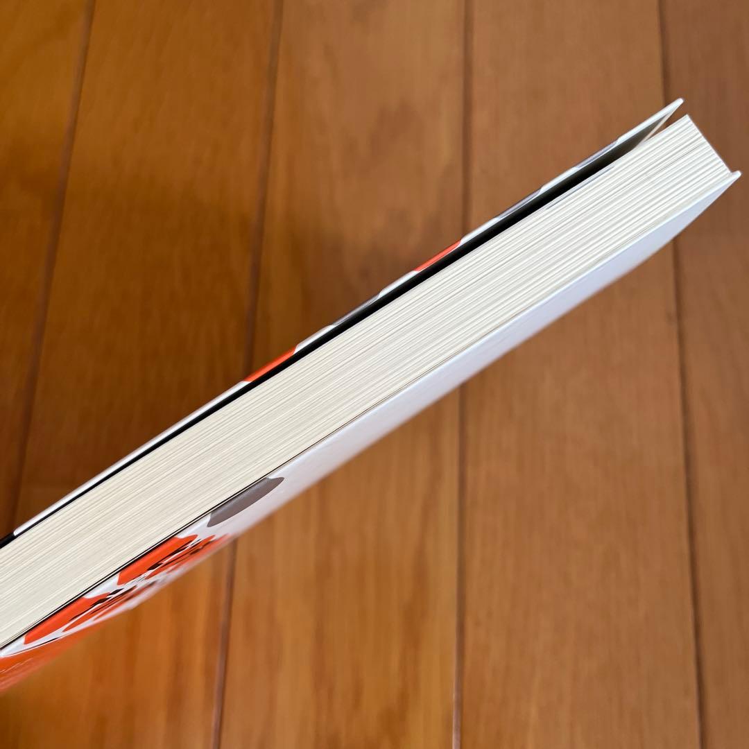 ピンチテクノロジー エネルギー解析の手法と応用