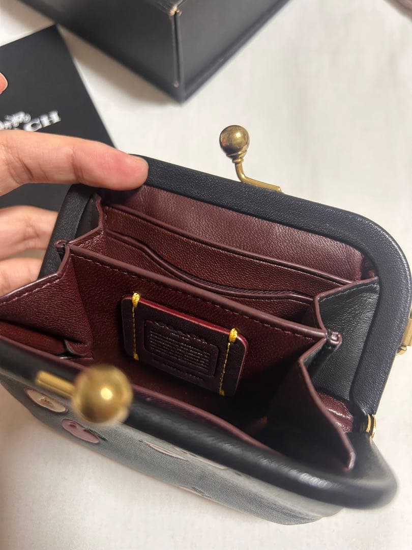 COACH リンゴ柄 ケース