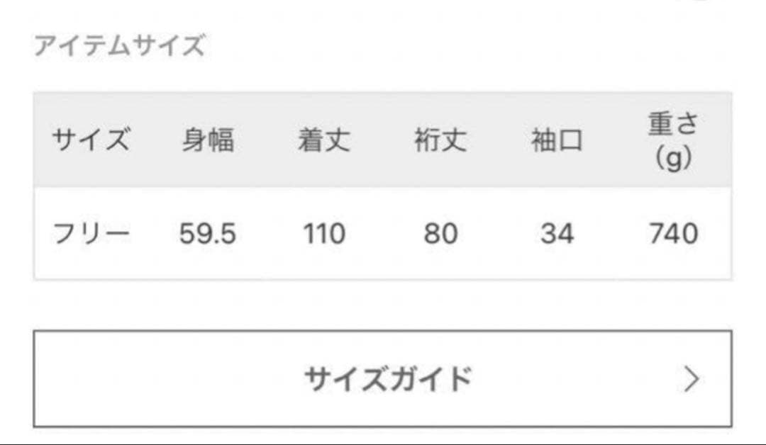 【未使用級】24SS ジャーナルスタンダード ライトクリアツイル トレンチコート