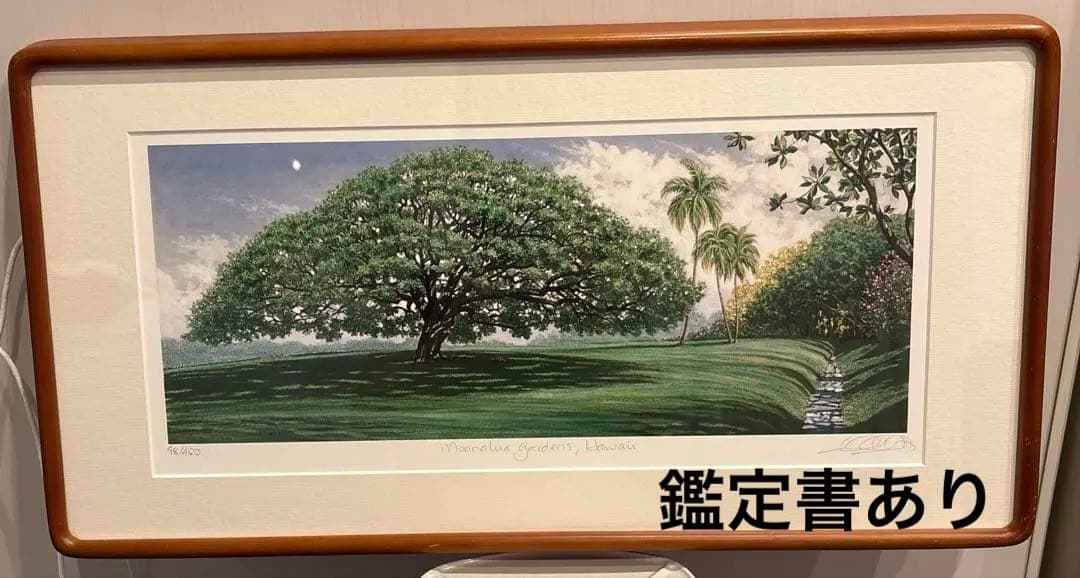 レア☆ キャロル コレット MOANALUA  GARDEN