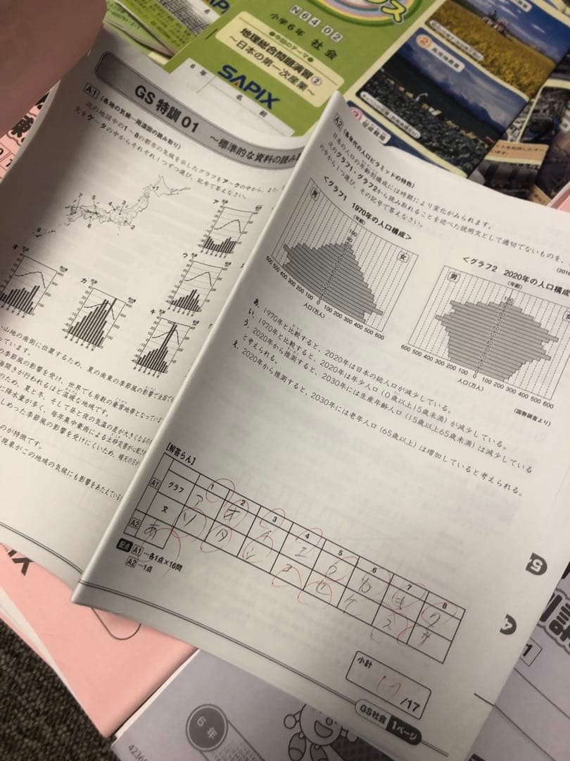 サピックス6年社会 デイリー春/夏/土特/日特/GS/夏集中　2024年受験
