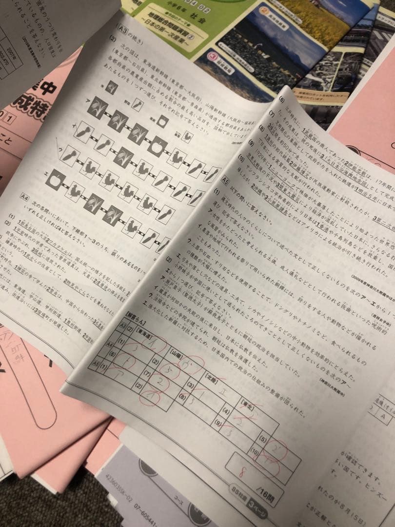 サピックス6年社会 デイリー春/夏/土特/日特/GS/夏集中　2024年受験