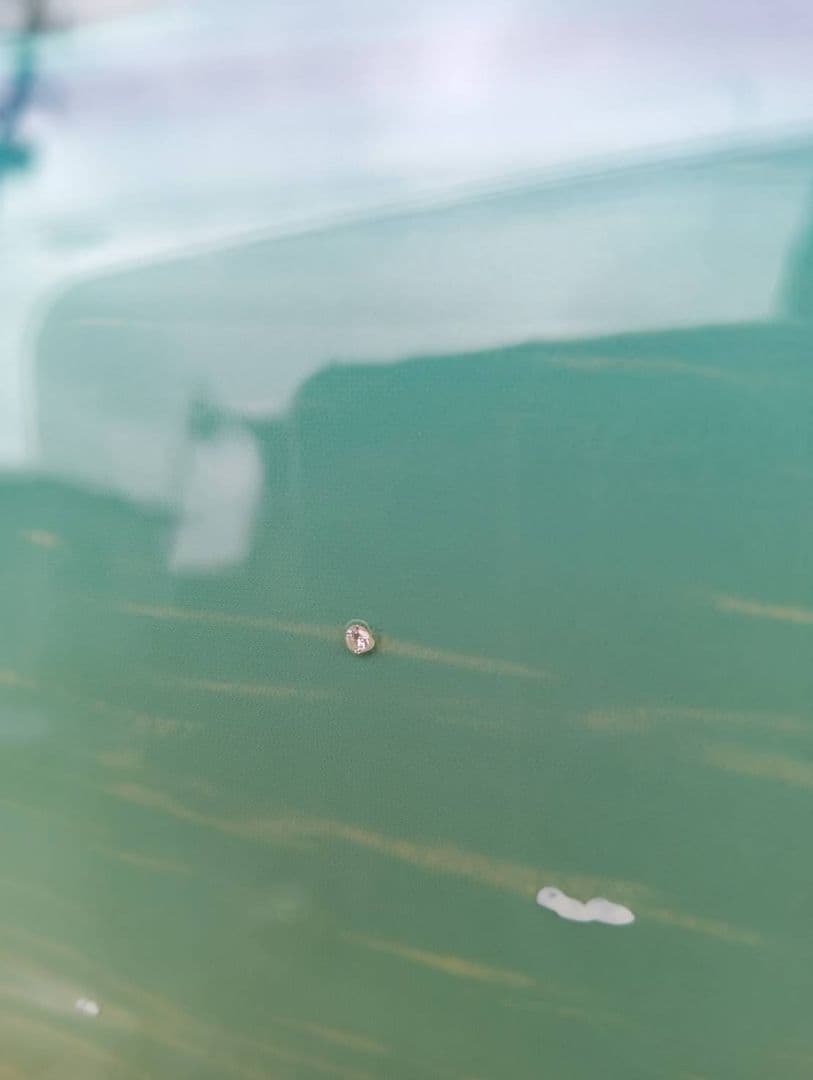 最終値下げ　ジョンアルホーグ　パームパラダイス　ダイヤ2個　ハワイ　海