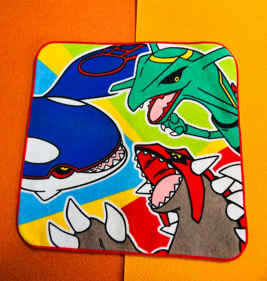 ポケモン Pokémon The Park アドベンチャーブック＋ハンカチタオル