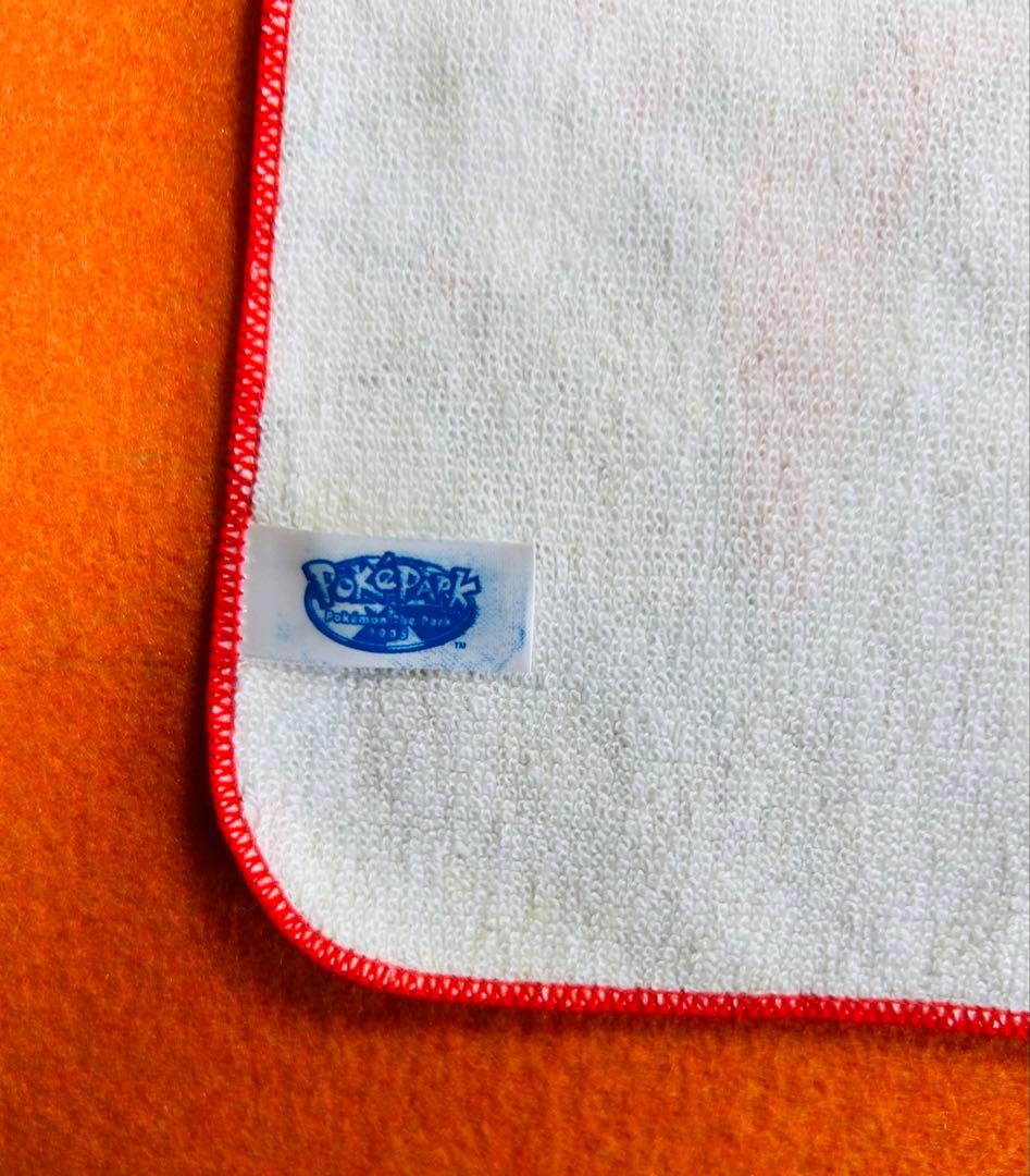 ポケモン Pokémon The Park アドベンチャーブック＋ハンカチタオル