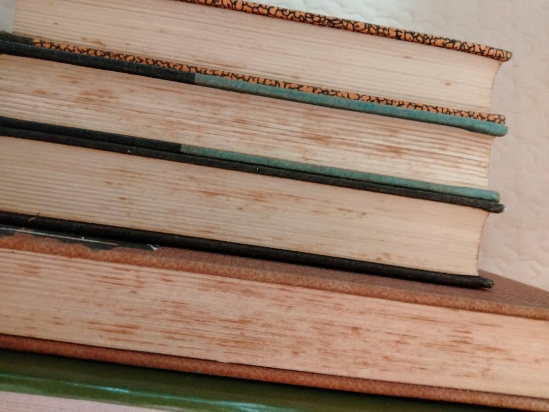 漫画　蛸の八ちゃん　のらくろ　田河水泡　 続のらくろ　黒兵衛　NHK　朝ドラ