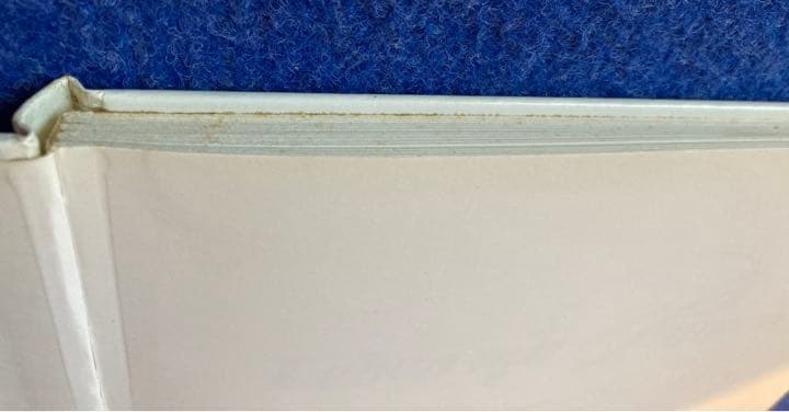 洋書 Leben mit Puppen