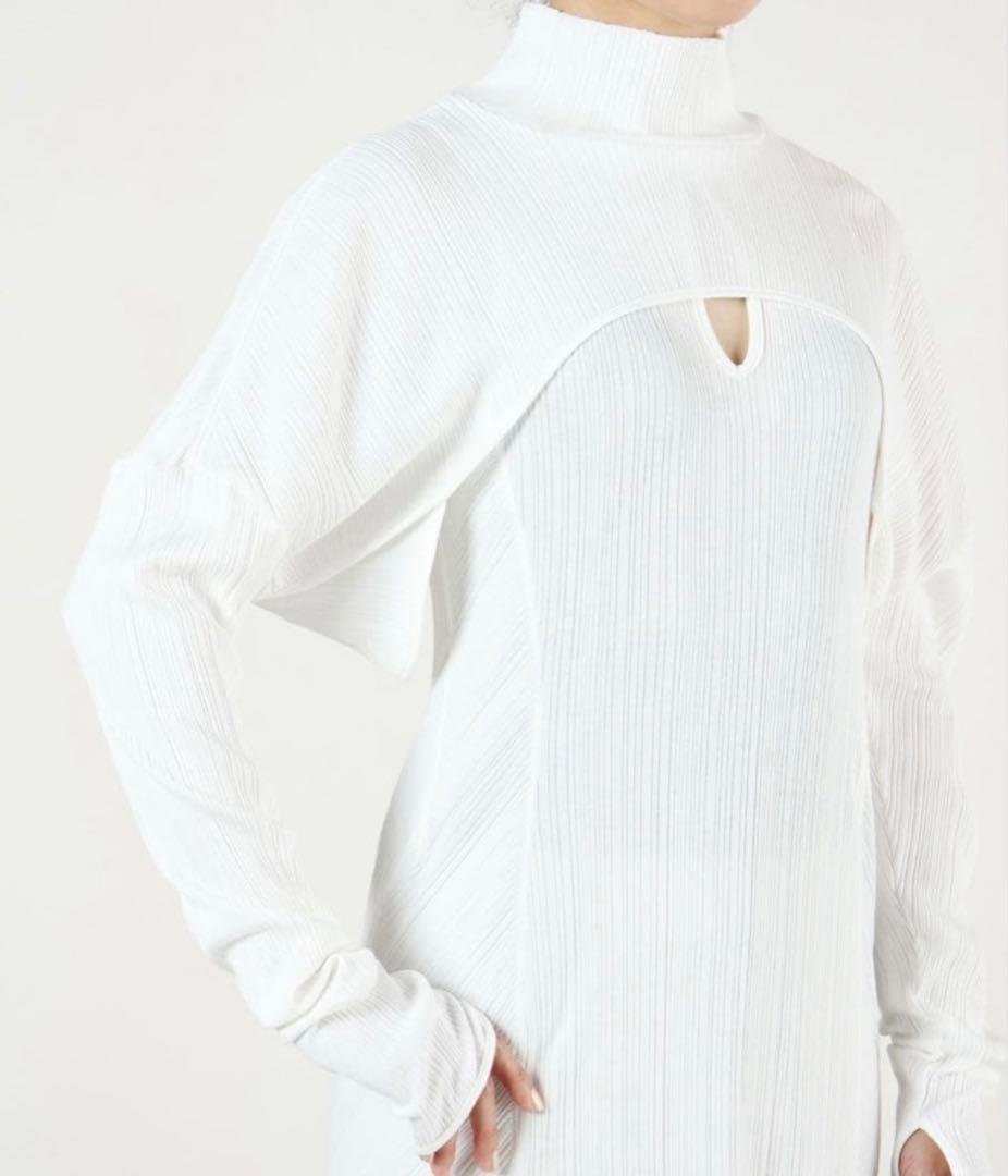 マメクロゴウチ　ワンピース