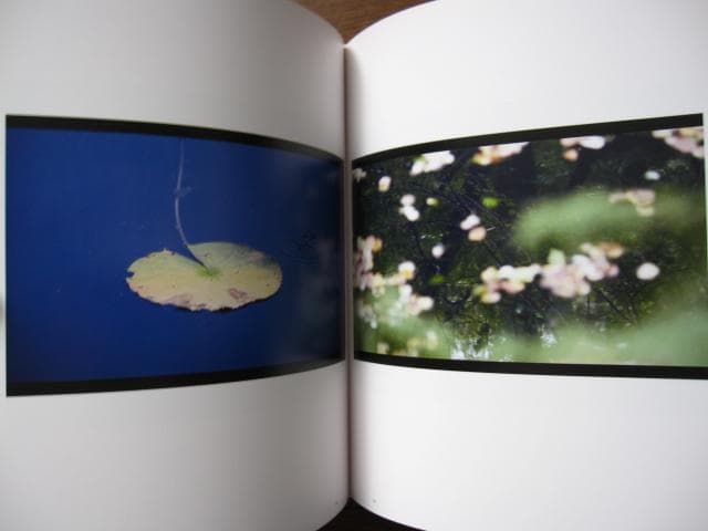 意識の流れ Stream of consciousness　鈴木理策　チラシ付き