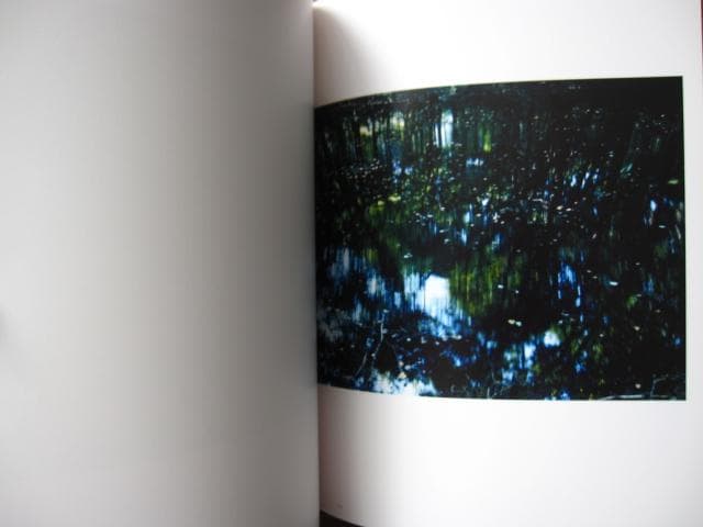 意識の流れ Stream of consciousness　鈴木理策　チラシ付き