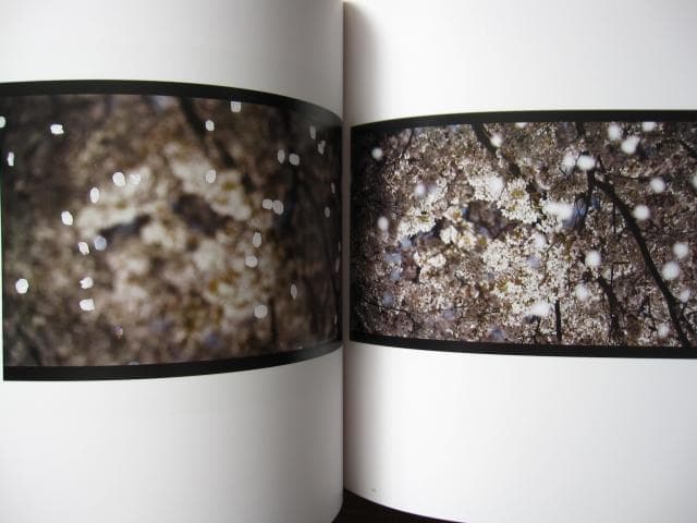 意識の流れ Stream of consciousness　鈴木理策　チラシ付き