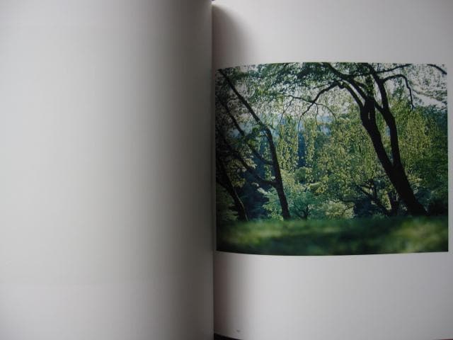 意識の流れ Stream of consciousness　鈴木理策　チラシ付き