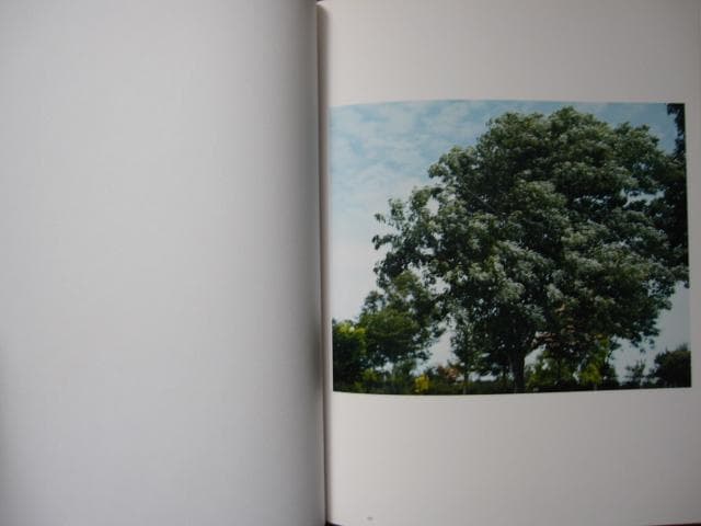 意識の流れ Stream of consciousness　鈴木理策　チラシ付き