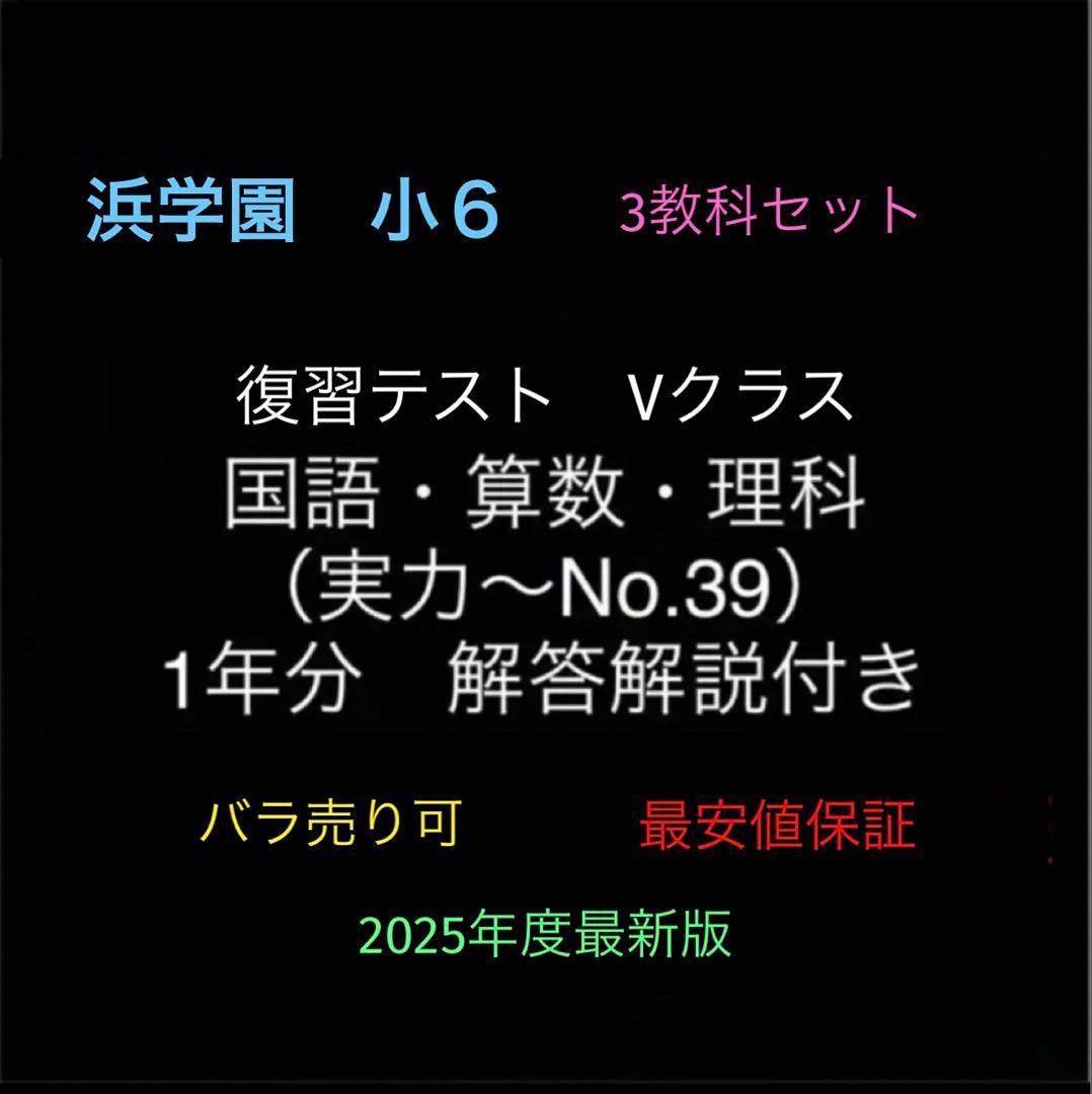 浜学園　小6　国語算数理科　Vクラス　復習テスト　実力〜No.39　解答解説付き