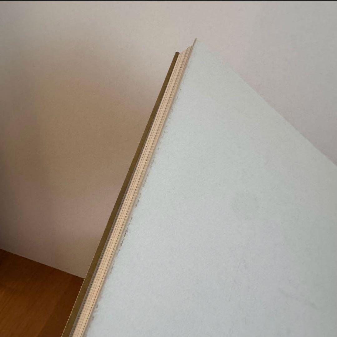 Michaël Borremans 【THE BADGER'S SONG】画集