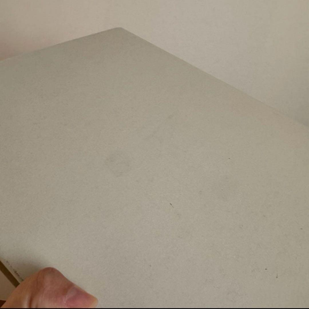 Michaël Borremans 【THE BADGER'S SONG】画集