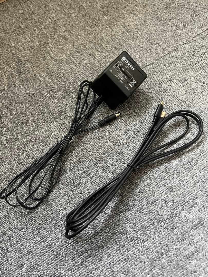 鍵盤楽器 Yamaha Piaggero NP-15