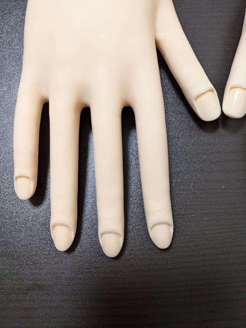 JNEC認定モデルハンド(両手)＋モデルハンド用チップ・シールセット