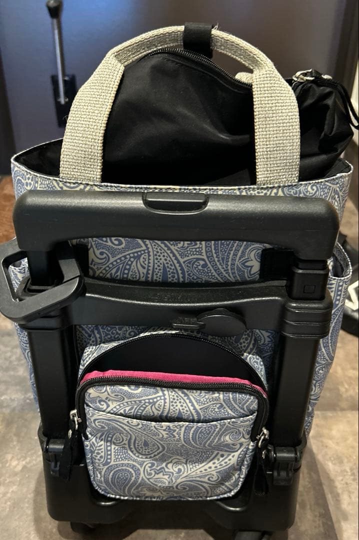 SWANY キャスターバック