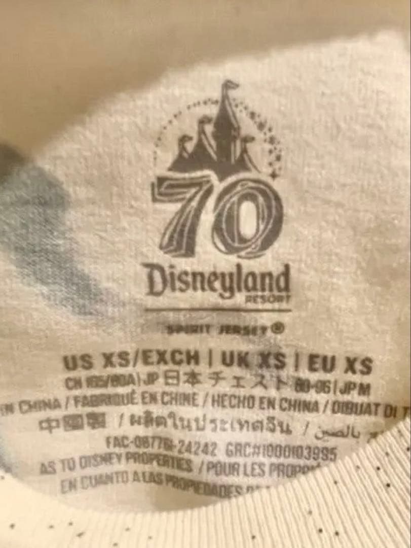 カリフォルニアディズニー70周年限定スピリットジャージ　日本Mサイズ