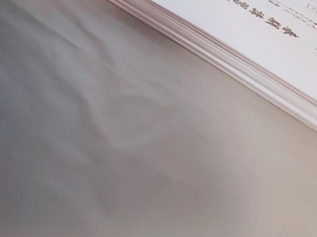 東進　林修先生　東大特進東大現代文　講義プリント　全セット　駿台　河合塾　鉄緑会