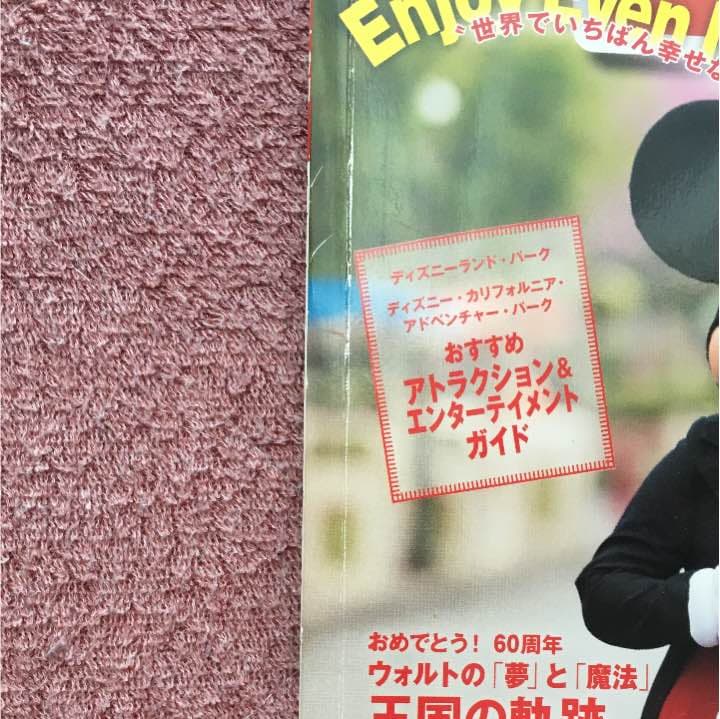 Disney FAN 特別版 ディズニーランドリゾート 60周年完全BOOK