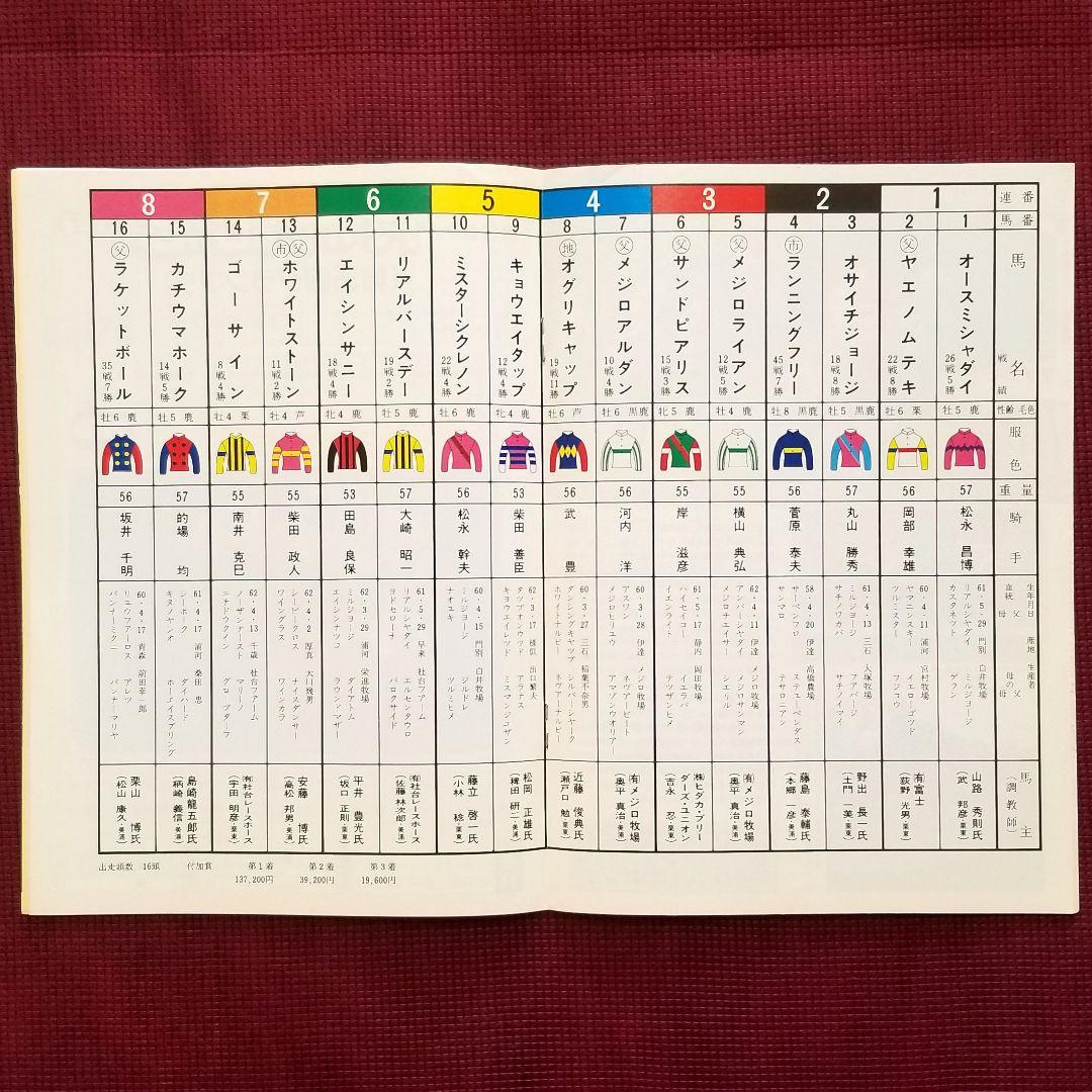 オグリキャップ 有馬記念引退レース メジロライアン レーシングプログラム ウマ娘