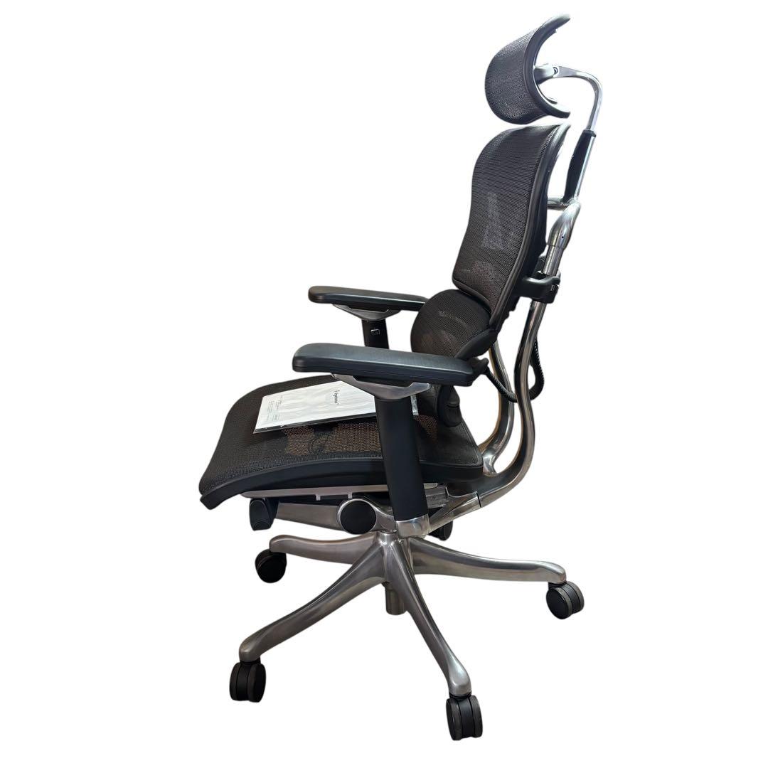 Ergohuman pro エルゴヒューマンプロ 説明書あり ベッドレスト付き