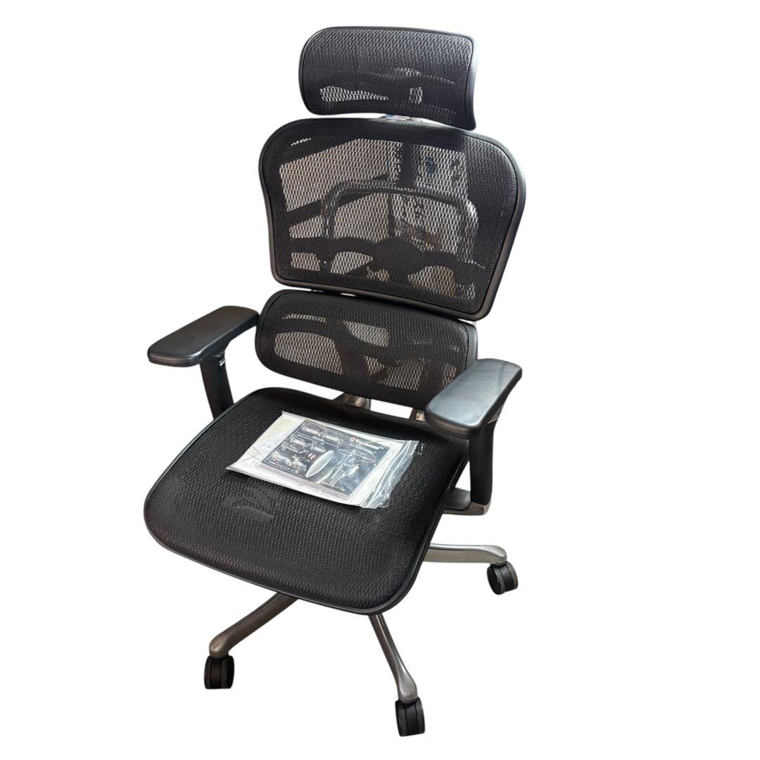 Ergohuman pro エルゴヒューマンプロ 説明書あり ベッドレスト付き