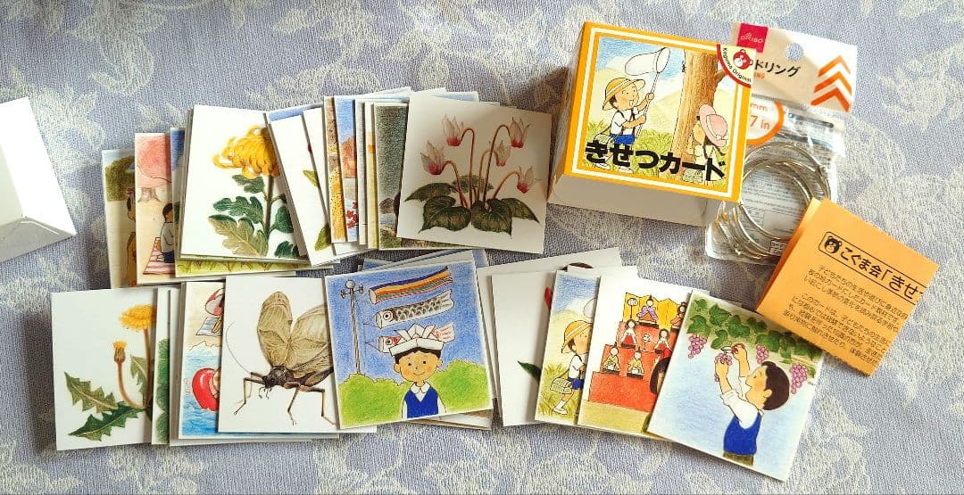 伸芽会 赤本 オリジナル問題集(改訂版) フルセット63冊 進行表 おまけ付