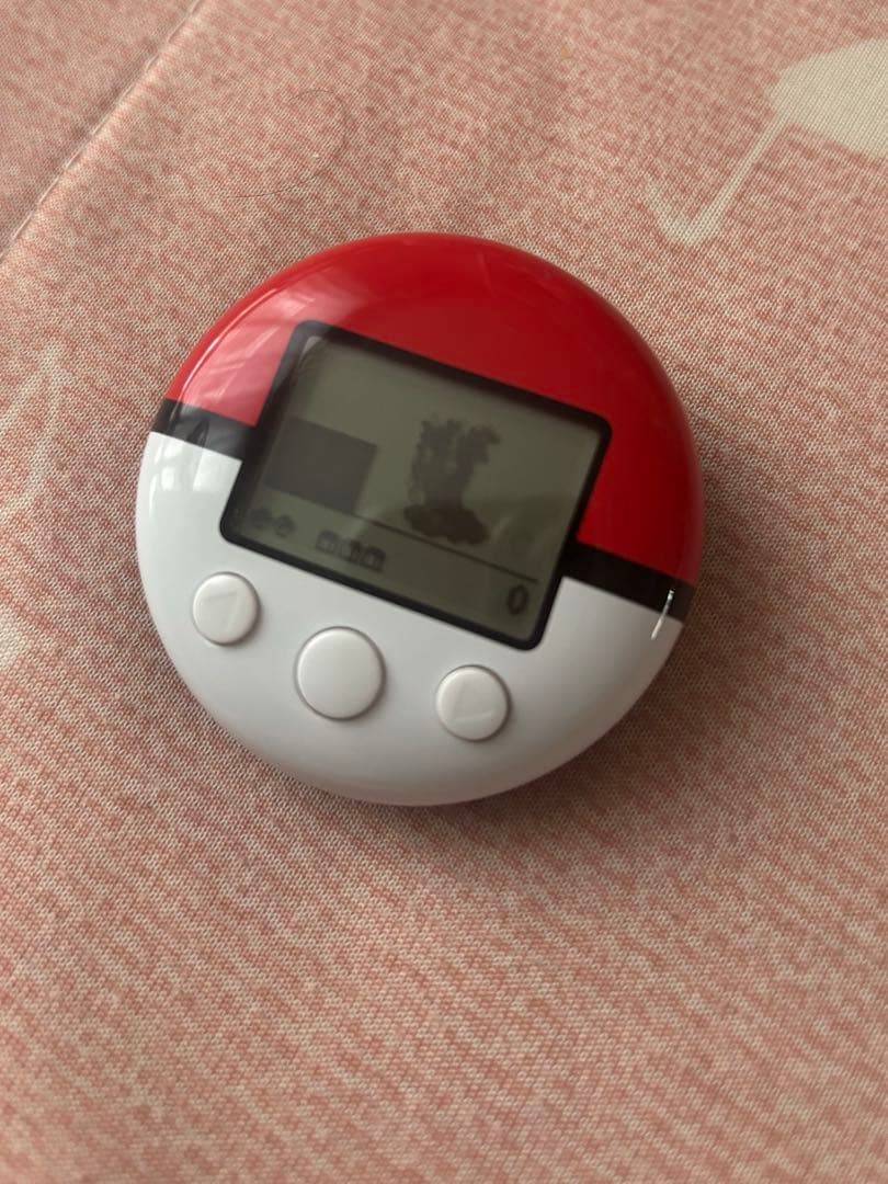 ポケットモンスター　銀　ソウルシルバー　カセットなし