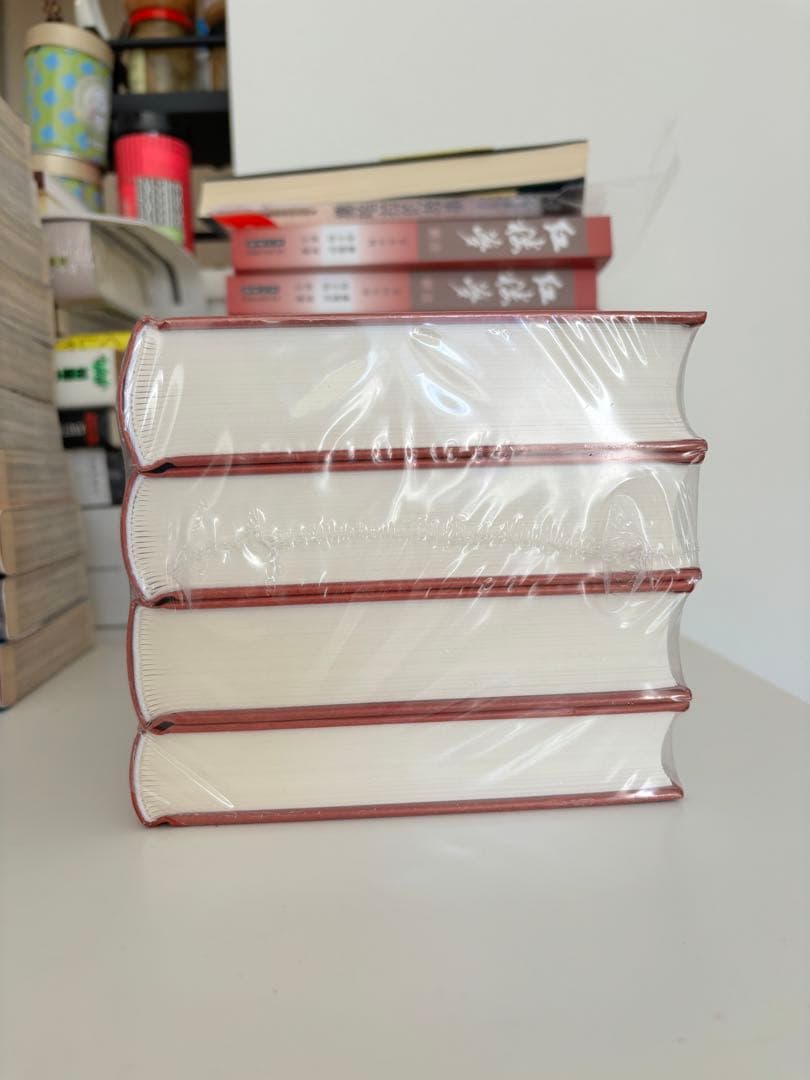 中国古典文学 4冊セット 三国演義 西遊記 水浒传 红楼梦　中国語　簡体字