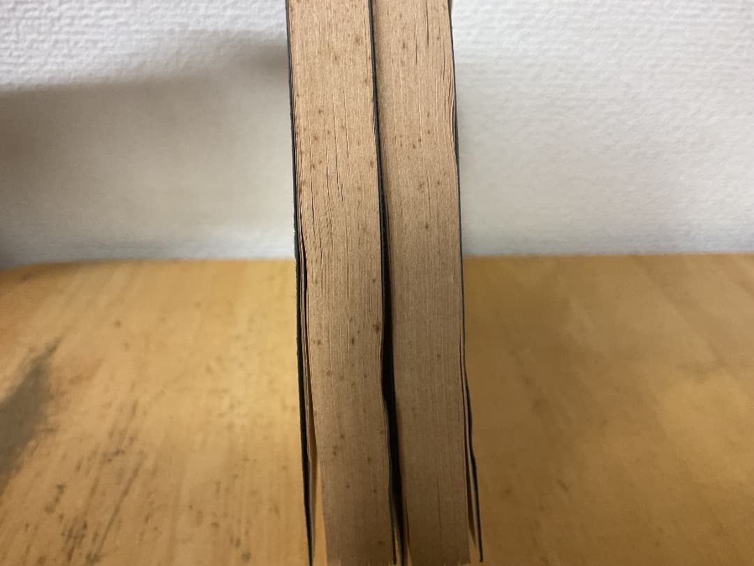 削觚廬印存 呉昌碩 秦漢遺意 2冊 帙入 中国 篆刻