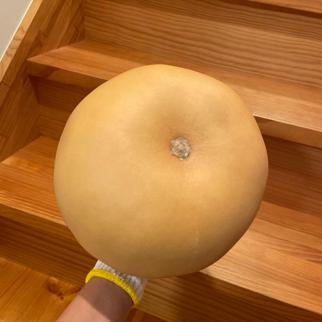 イプ　ナチュラル