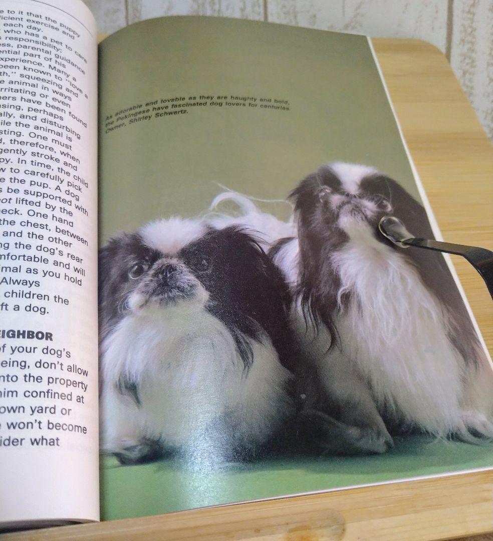 ペキニーズ書籍4冊セット 本 洋書 写真 pekingese PEKINGESE