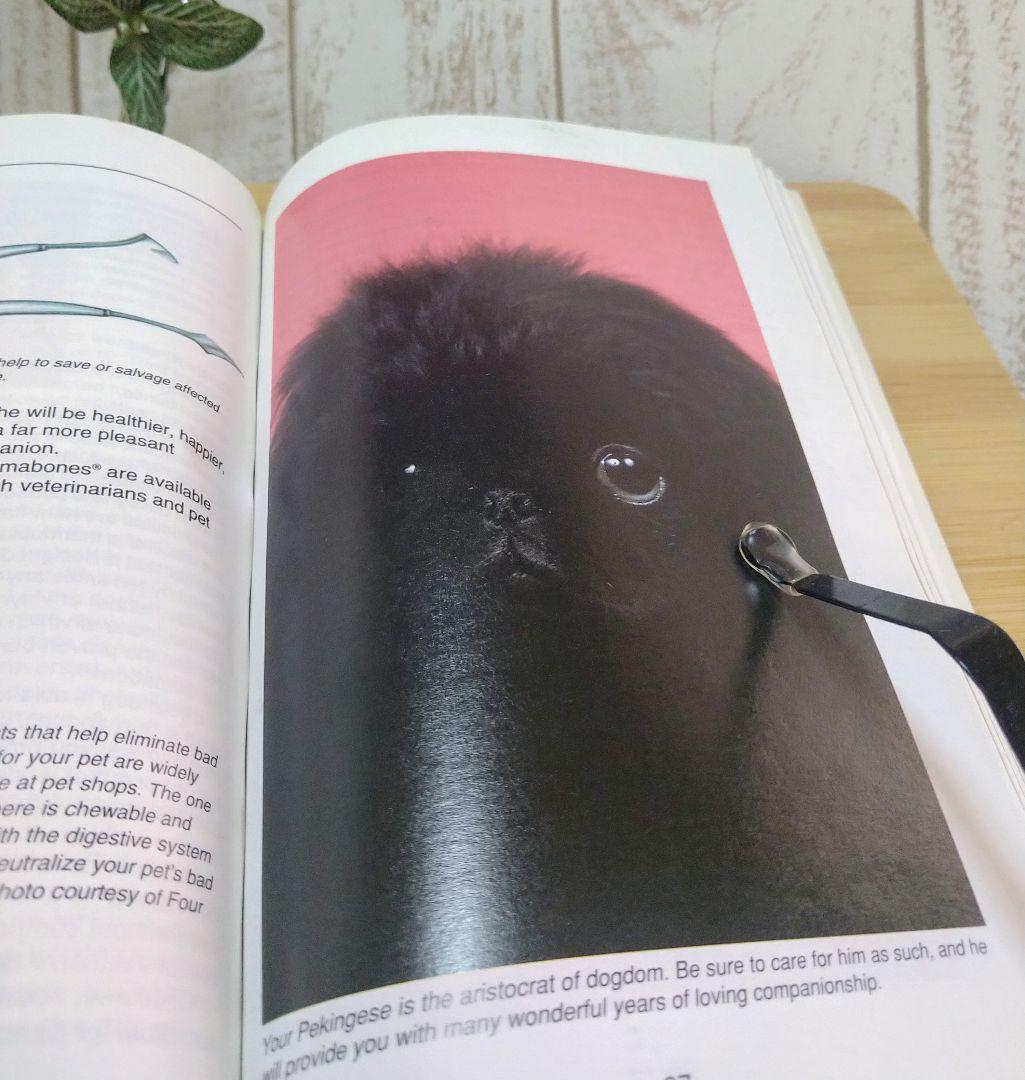ペキニーズ書籍4冊セット 本 洋書 写真 pekingese PEKINGESE