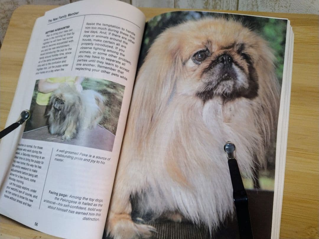 ペキニーズ書籍4冊セット 本 洋書 写真 pekingese PEKINGESE